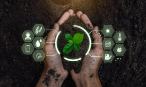 Smart farming holding young plant. Smart farming and precision agriculture 4.0, agriculture concept.